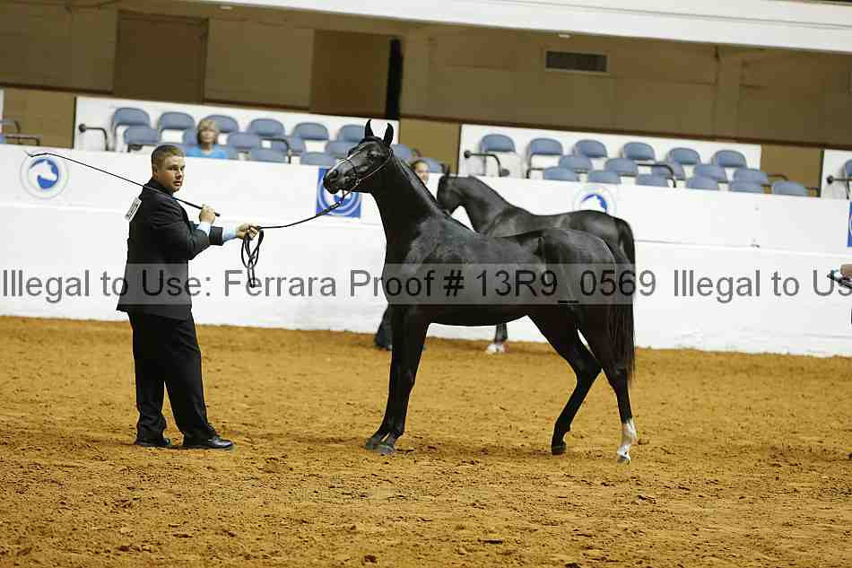 Proof 13r9_0569