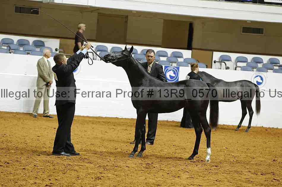 Proof 13r9_0570