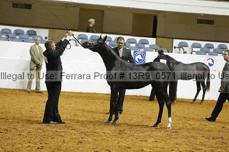 Proof 13r9_0571