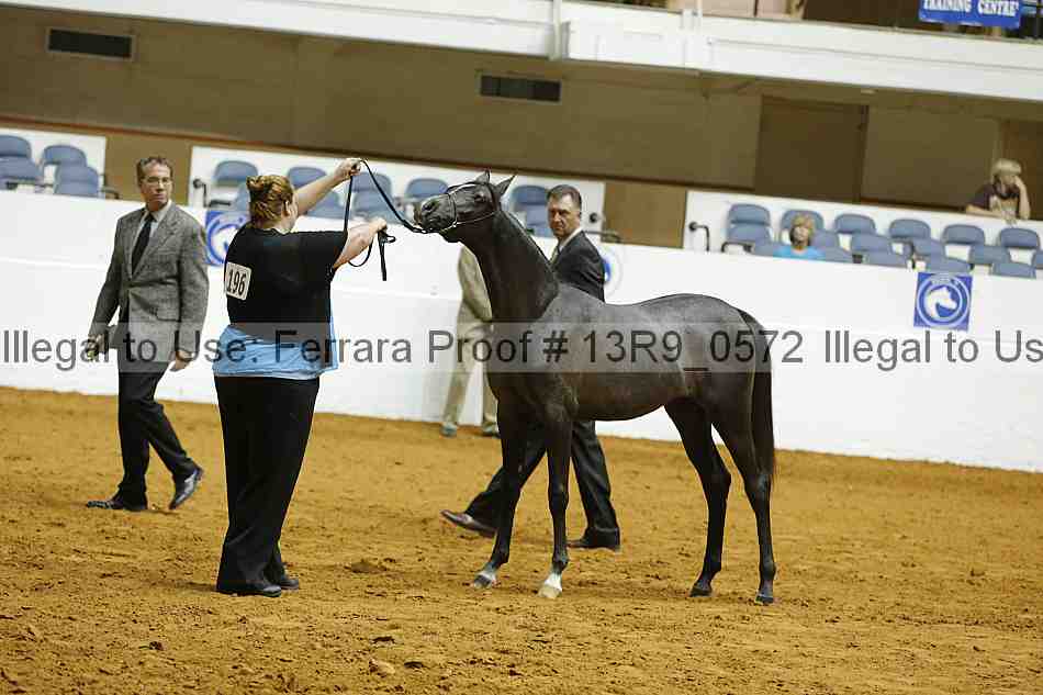Proof 13r9_0572