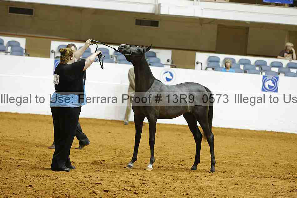 Proof 13r9_0573