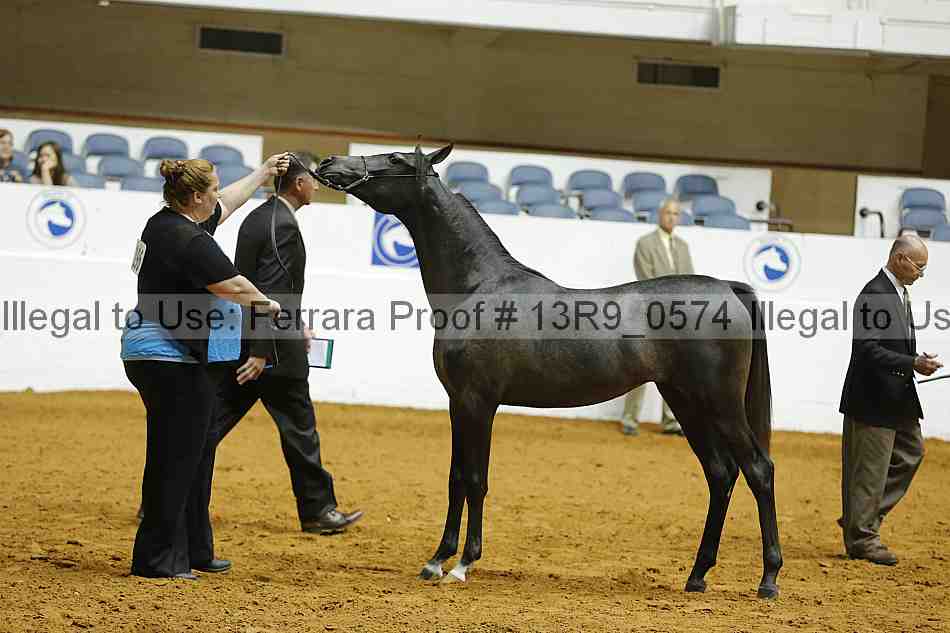 Proof 13r9_0574