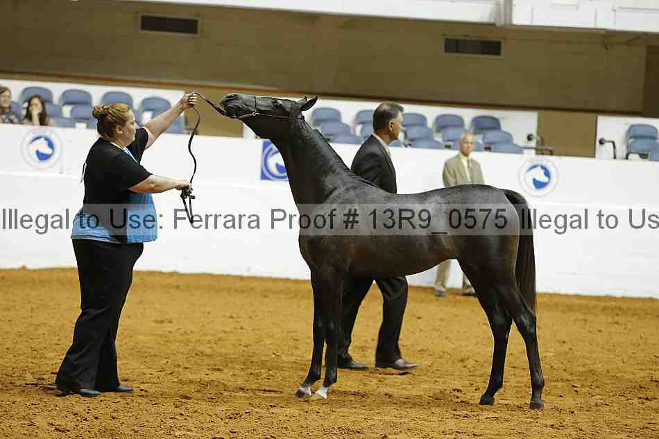 Proof 13r9_0575