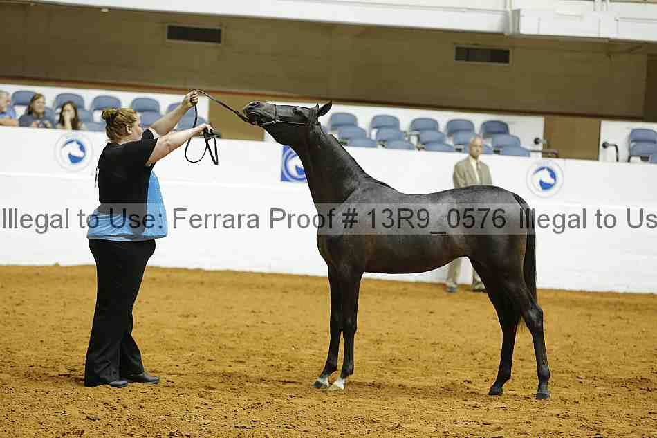 Proof 13r9_0576