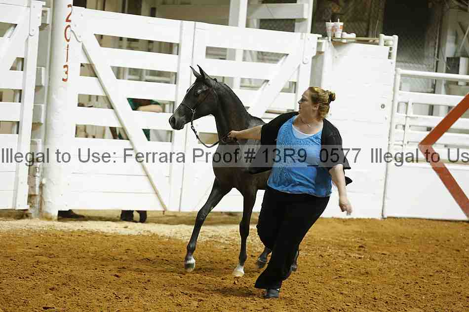 Proof 13r9_0577