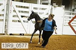 13r9_0577 proof