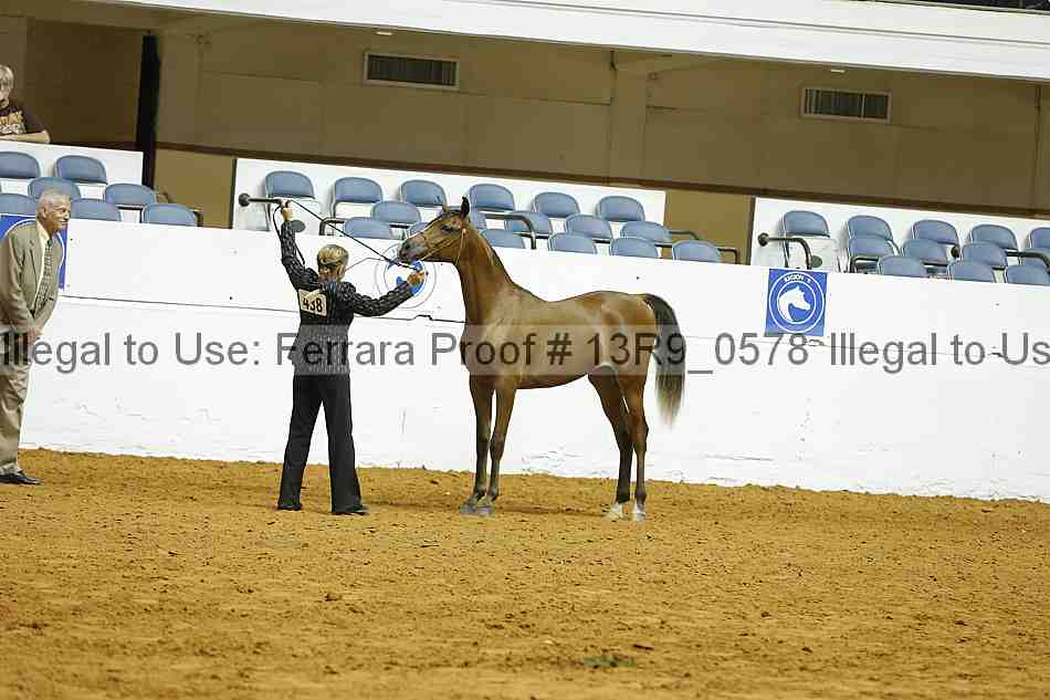 Proof 13r9_0578
