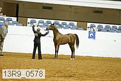 13r9_0578 proof