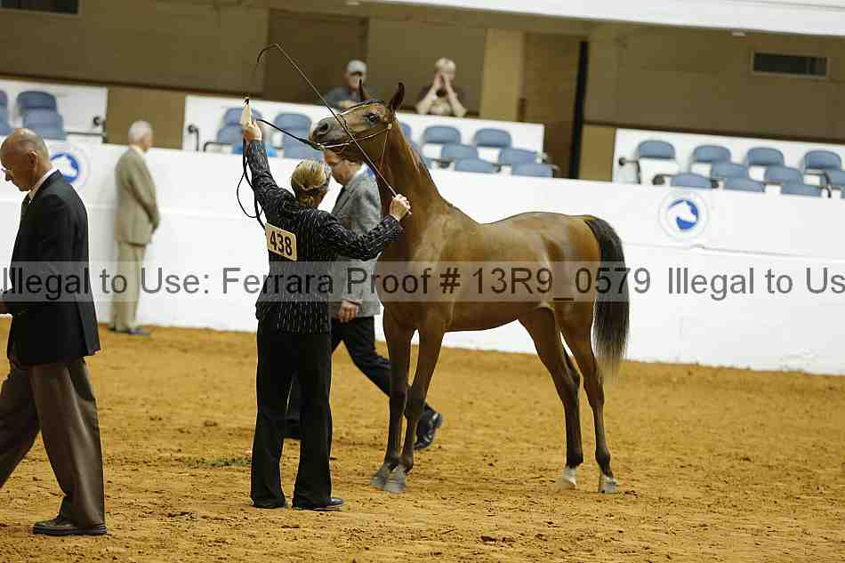 Proof 13r9_0579