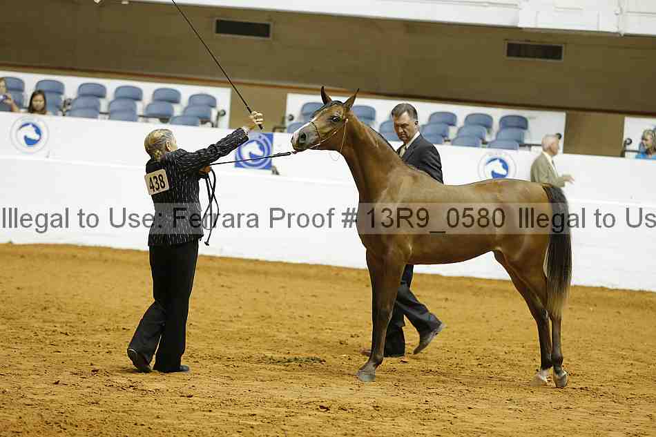 Proof 13r9_0580