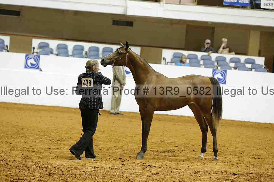 Proof 13r9_0582