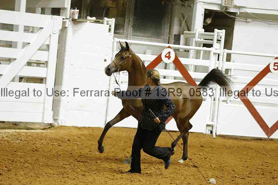 Proof 13r9_0583