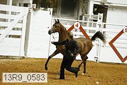 13r9_0583 proof