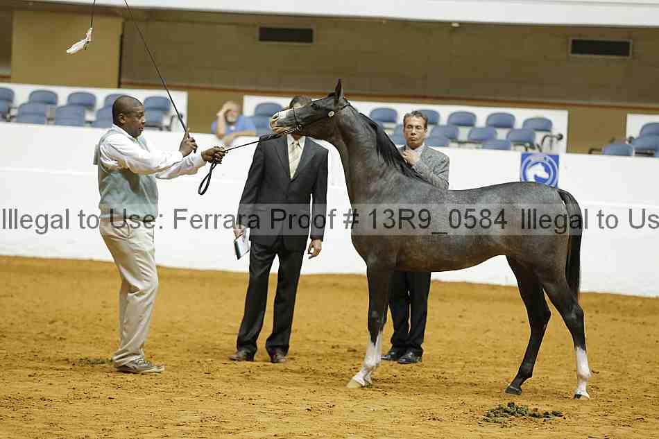 Proof 13r9_0584