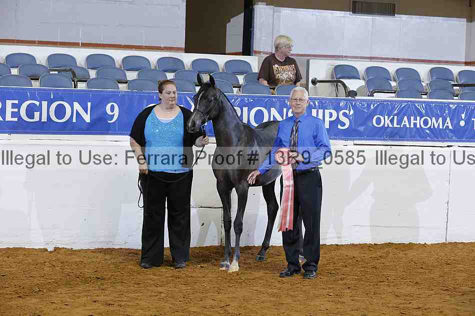 Proof 13r9_0585