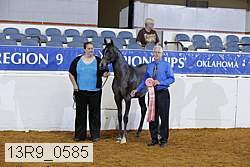 13r9_0585 proof
