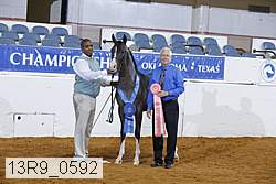 13r9_0592 proof