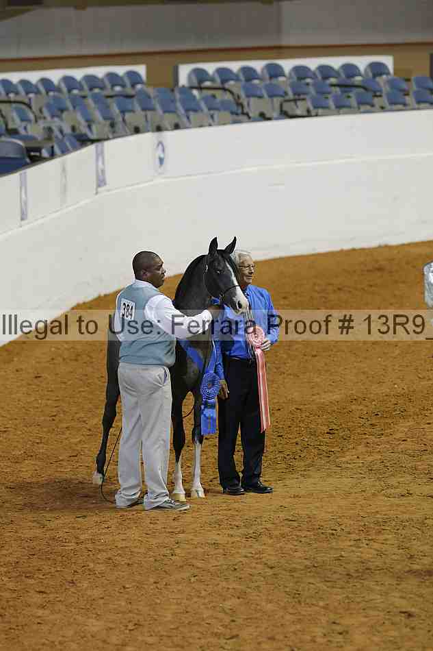 Proof 13r9_0594