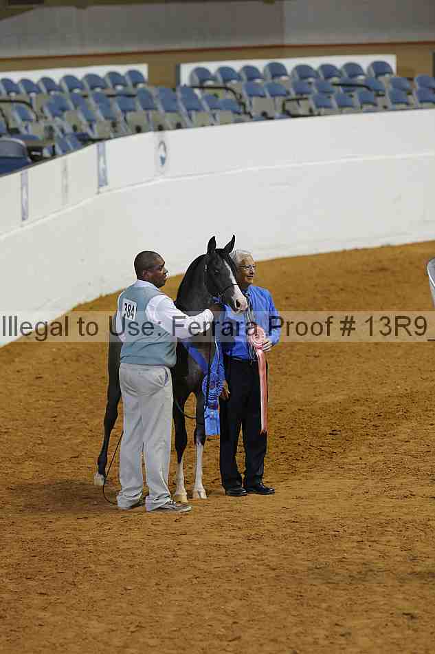 Proof 13r9_0595