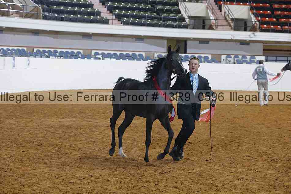 Proof 13r9_0596