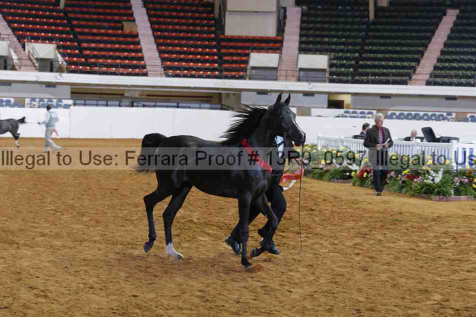 Proof 13r9_0597