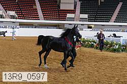 13r9_0597 proof