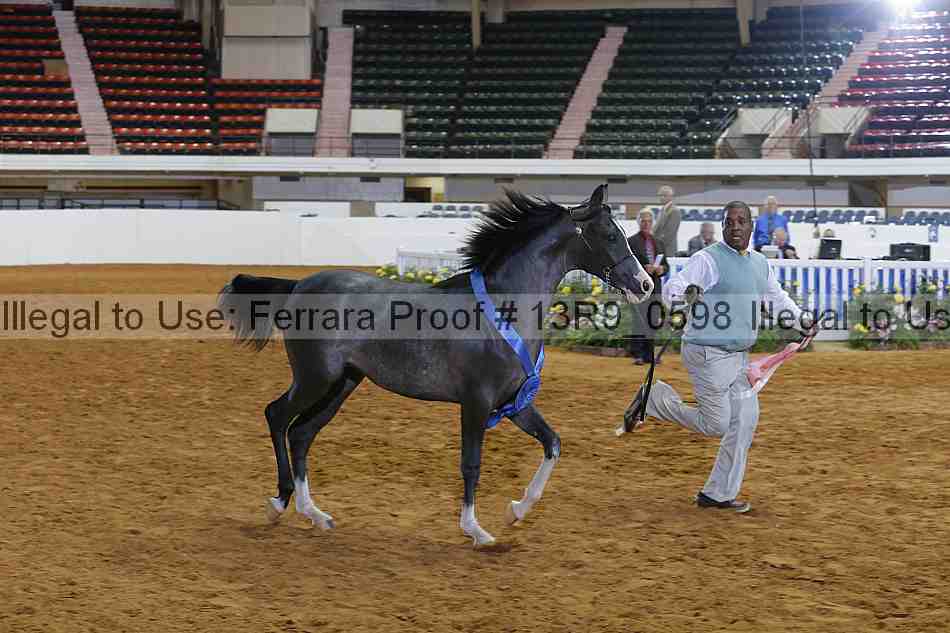 Proof 13r9_0598