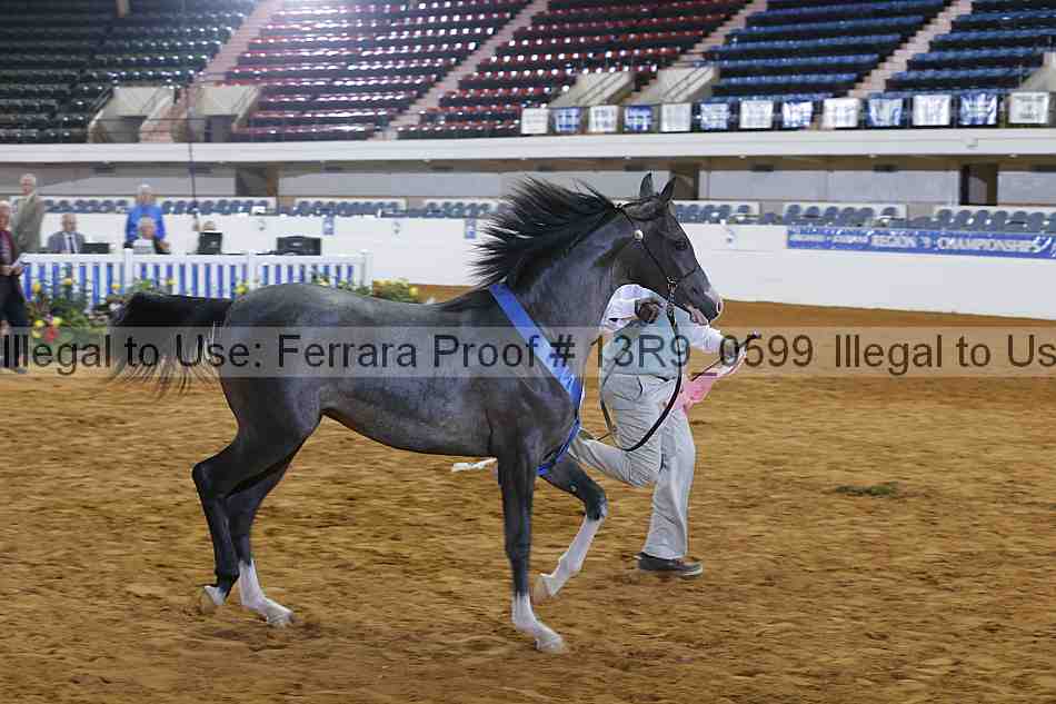 Proof 13r9_0599