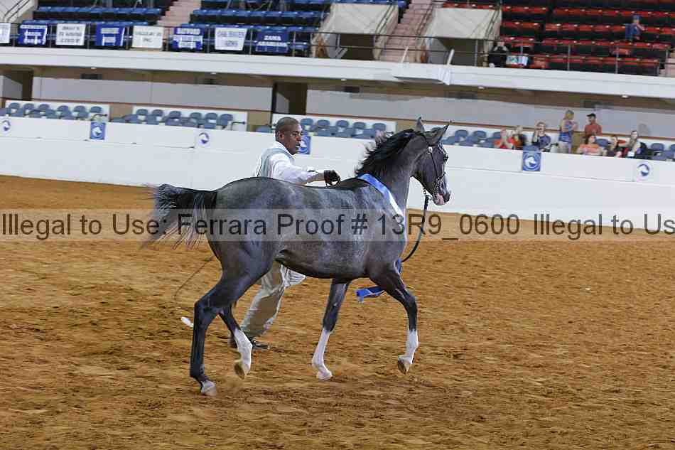 Proof 13r9_0600