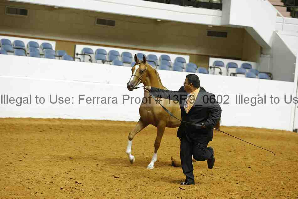Proof 13r9_0602