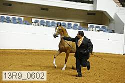 13r9_0602 proof