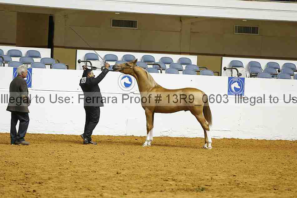 Proof 13r9_0603