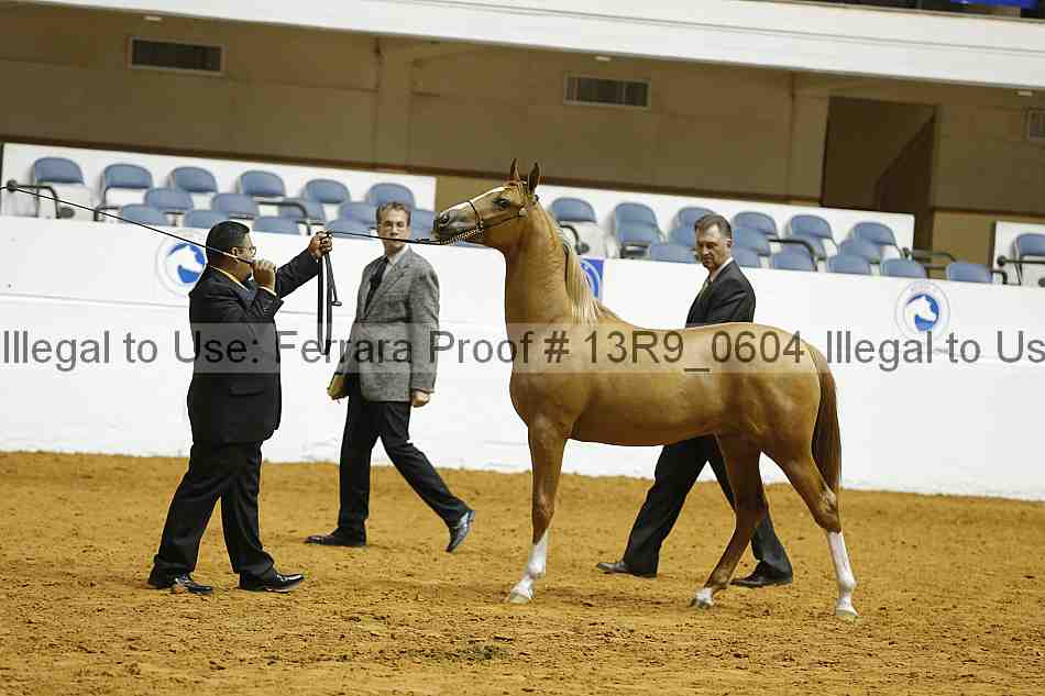 Proof 13r9_0604