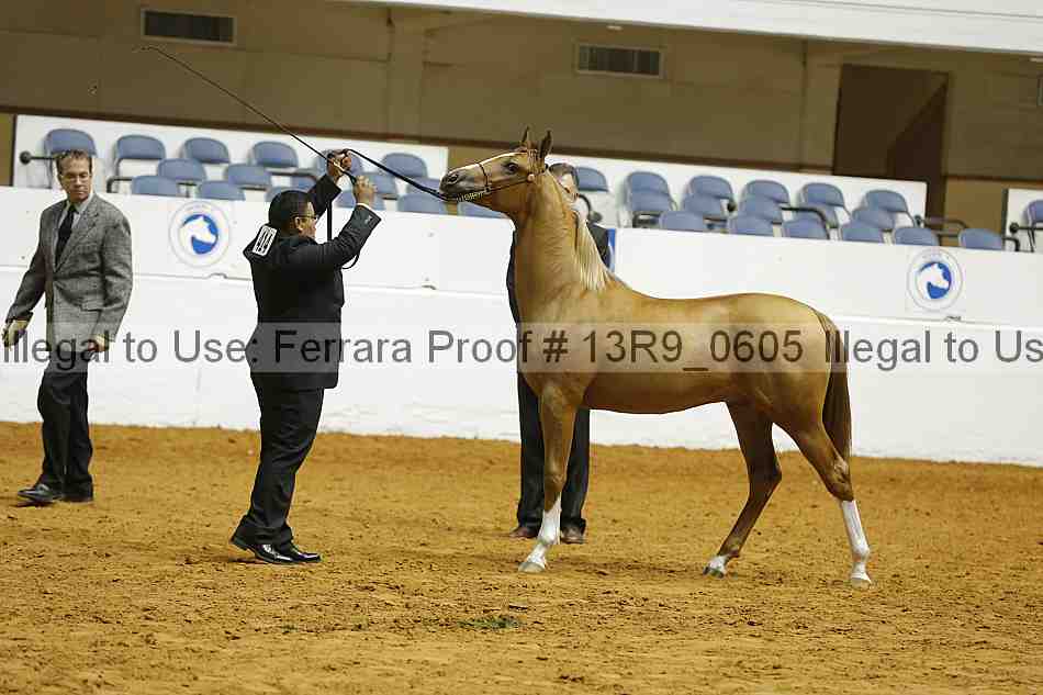 Proof 13r9_0605