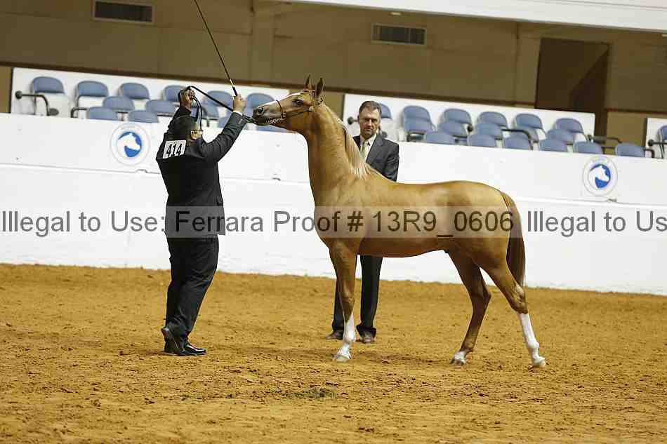 Proof 13r9_0606