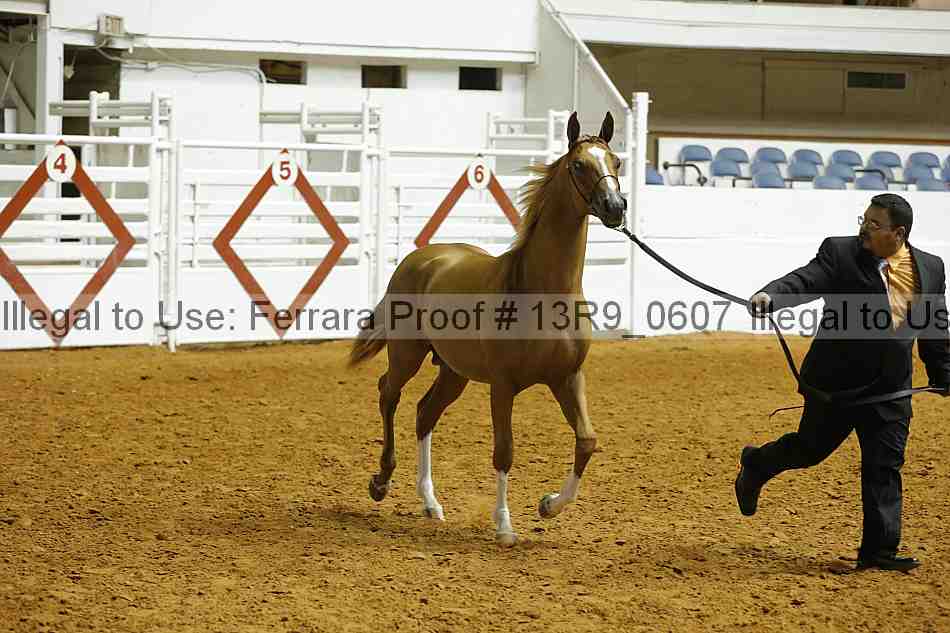 Proof 13r9_0607