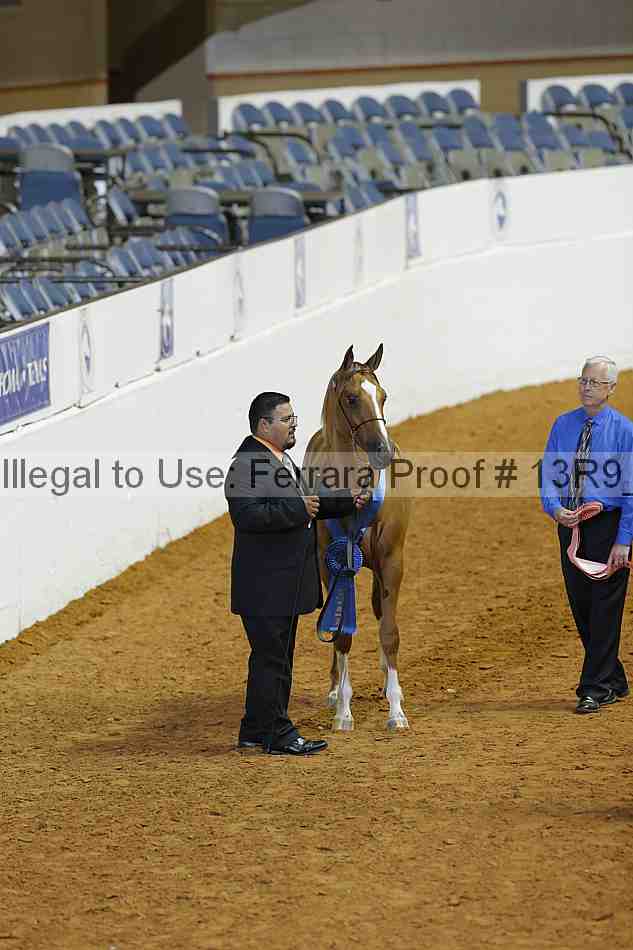 Proof 13r9_0608