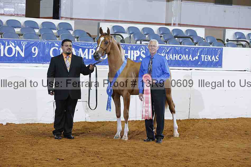 Proof 13r9_0609
