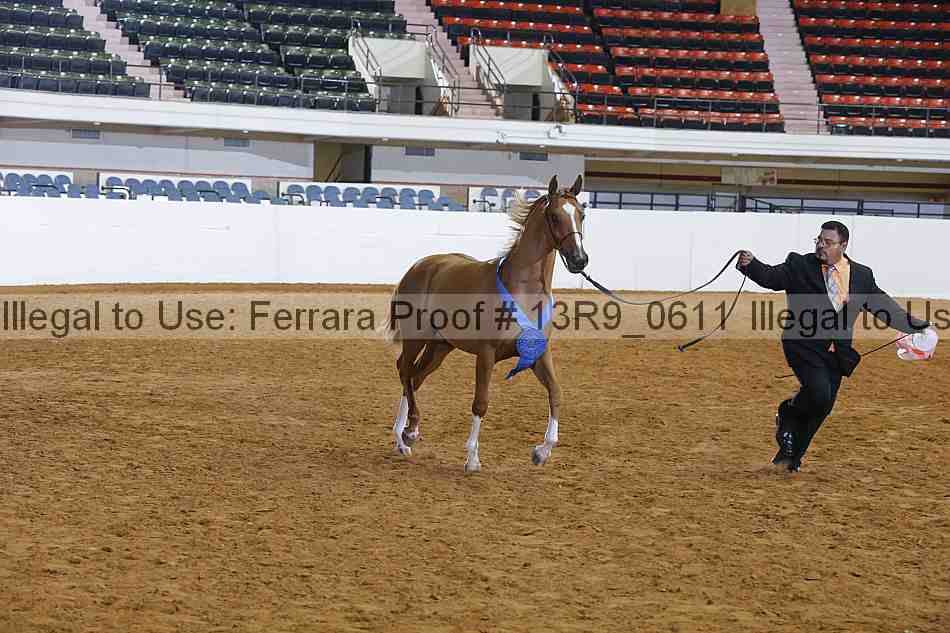 Proof 13r9_0611