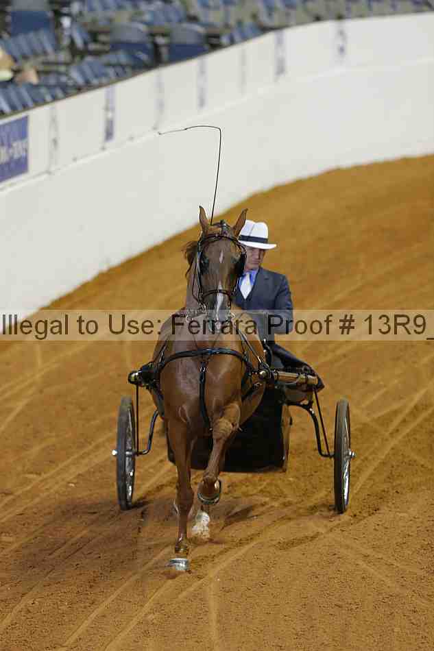 Proof 13r9_0615