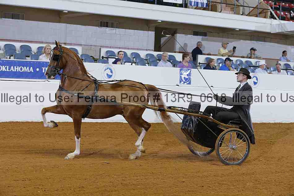 Proof 13r9_0618