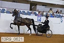 13r9_0621 proof