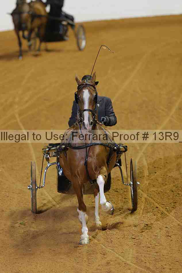 Proof 13r9_0624