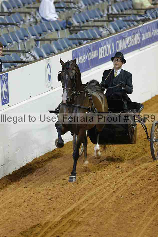 Proof 13r9_0627