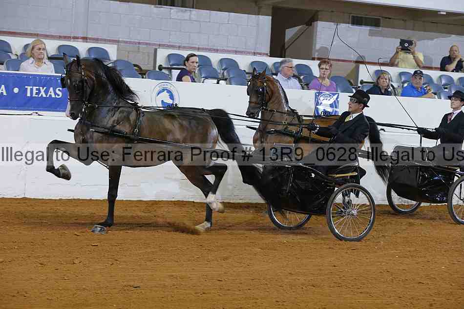 Proof 13r9_0628