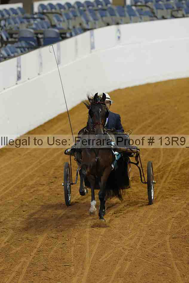 Proof 13r9_0652
