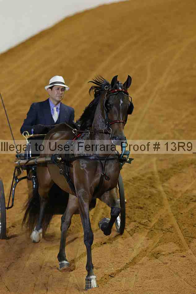 Proof 13r9_0653