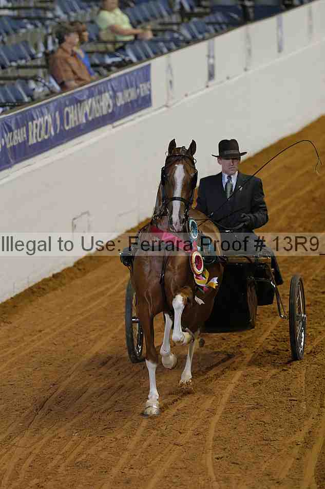 Proof 13r9_0657
