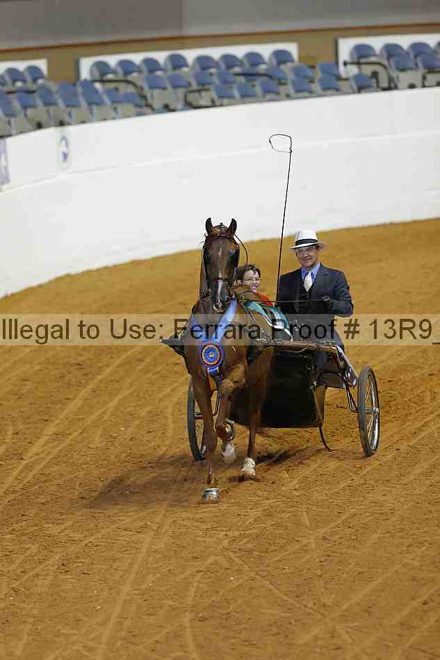 Proof 13r9_0662