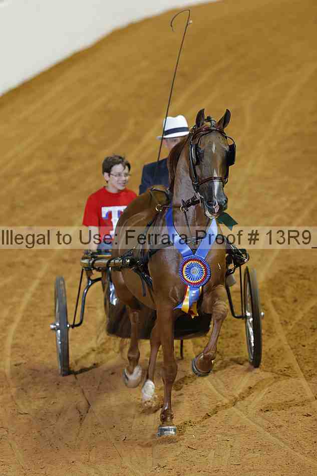 Proof 13r9_0663